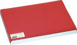 Set de table 30x40cm Rouge COLOR